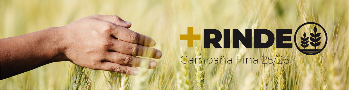 Campaña Gruesa